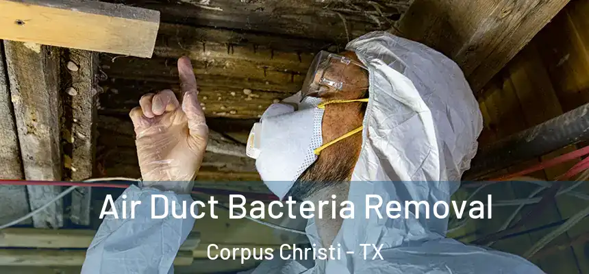 Air Duct Bacteria Removal Corpus Christi - TX