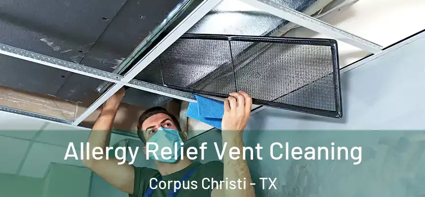 Allergy Relief Vent Cleaning Corpus Christi - TX