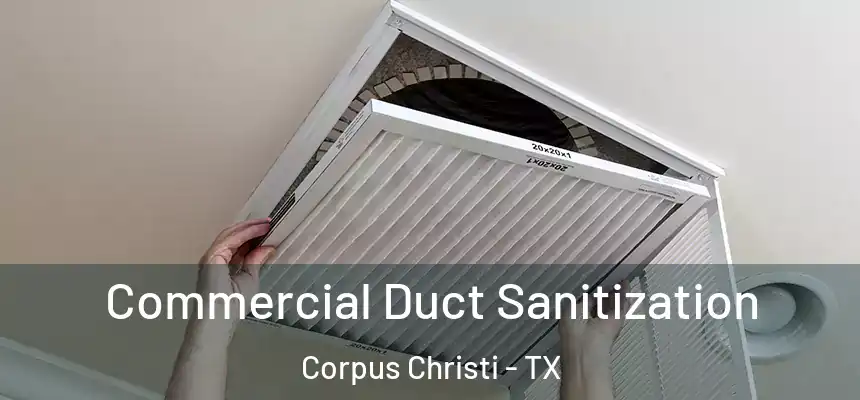 Commercial Duct Sanitization Corpus Christi - TX