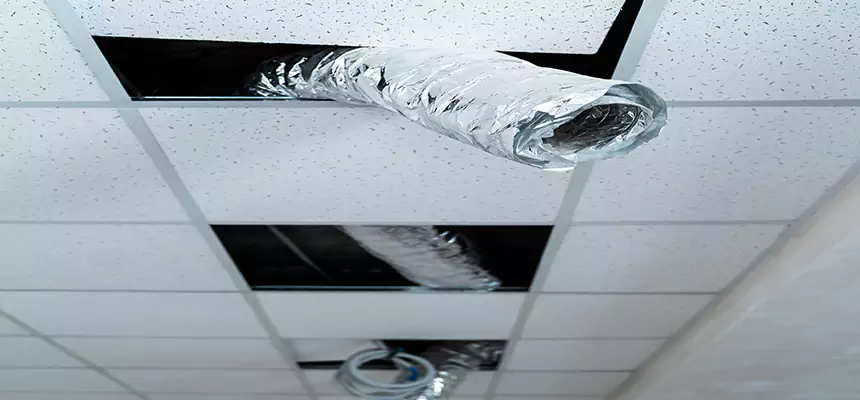 Our Air Duct Pet Hair Removal Services in Corpus Christi, TX