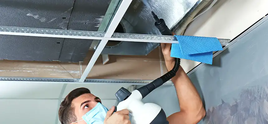 Our Air Duct Rodent Removal Services in Corpus Christi, TX