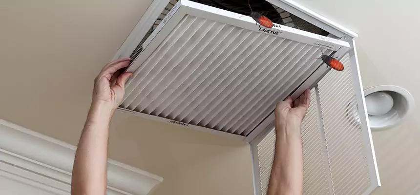 Our Insect Removal from Air Ducts Services in Corpus Christi, TX
