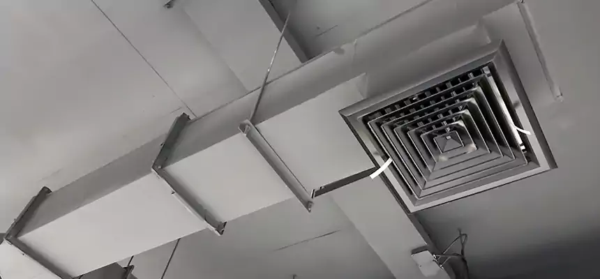 Our Rodent Droppings In Vents Services in Corpus Christi, TX