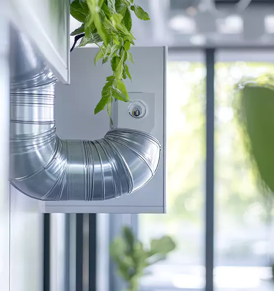 Professional Eco-Safe Dryer Vent Cleaning in Corpus Christi, TX