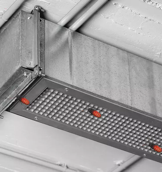 Affordable Insect Removal from Air Ducts in Corpus Christi, TX