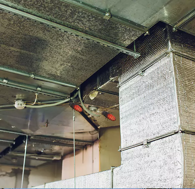 Why Homeowners & Businesses Trust Us in Corpus Christi, TX?