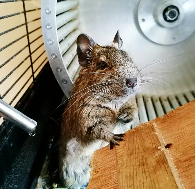 Why Homeowners & Businesses Trust Us Corpus Christi, TX