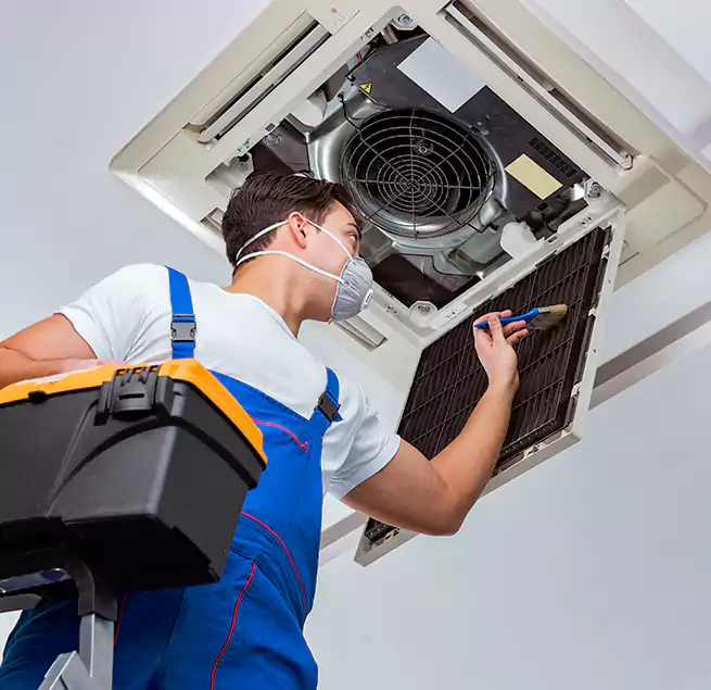 Why Homeowners & Businesses Trust Us in Corpus Christi, TX