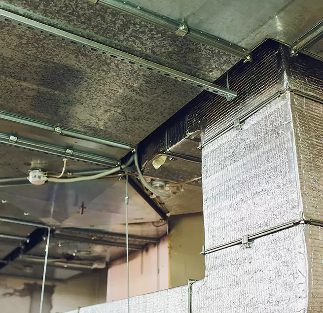 Why Homeowners & Businesses Trust Us in Corpus Christi, TX?